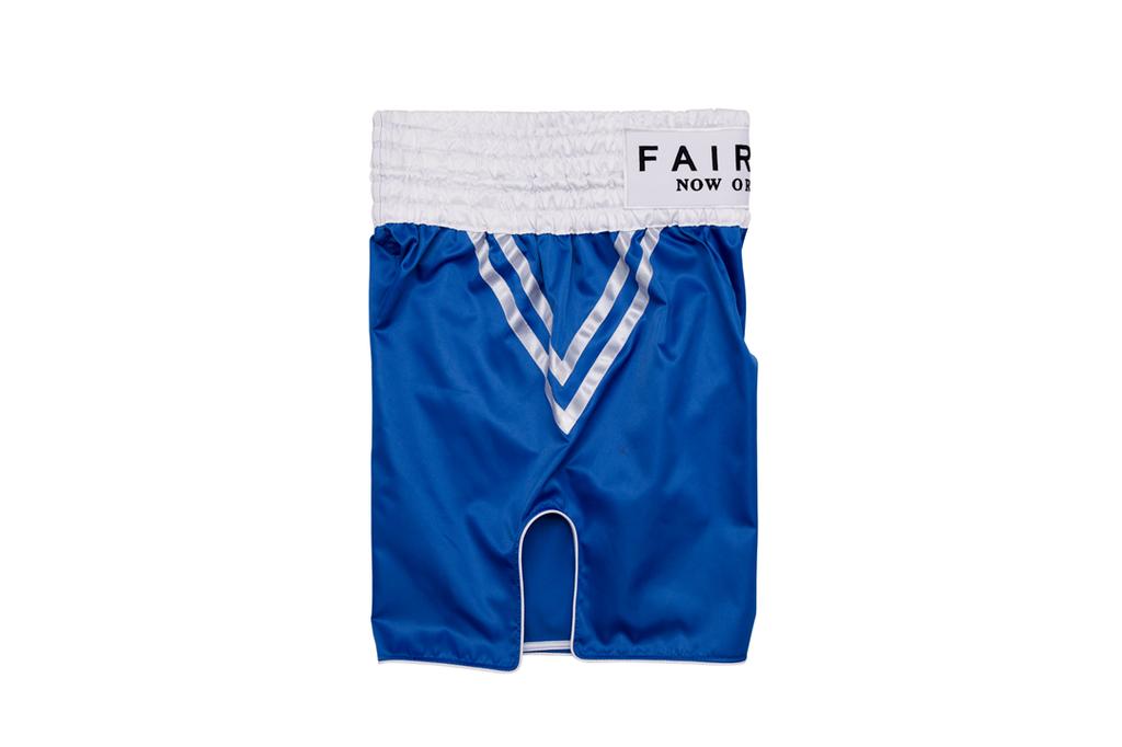Fairtex Boxing Shorts BT2009 M