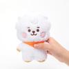 [USED] BTS BT21 RJ Tatton Baby Plush Toy S Jin