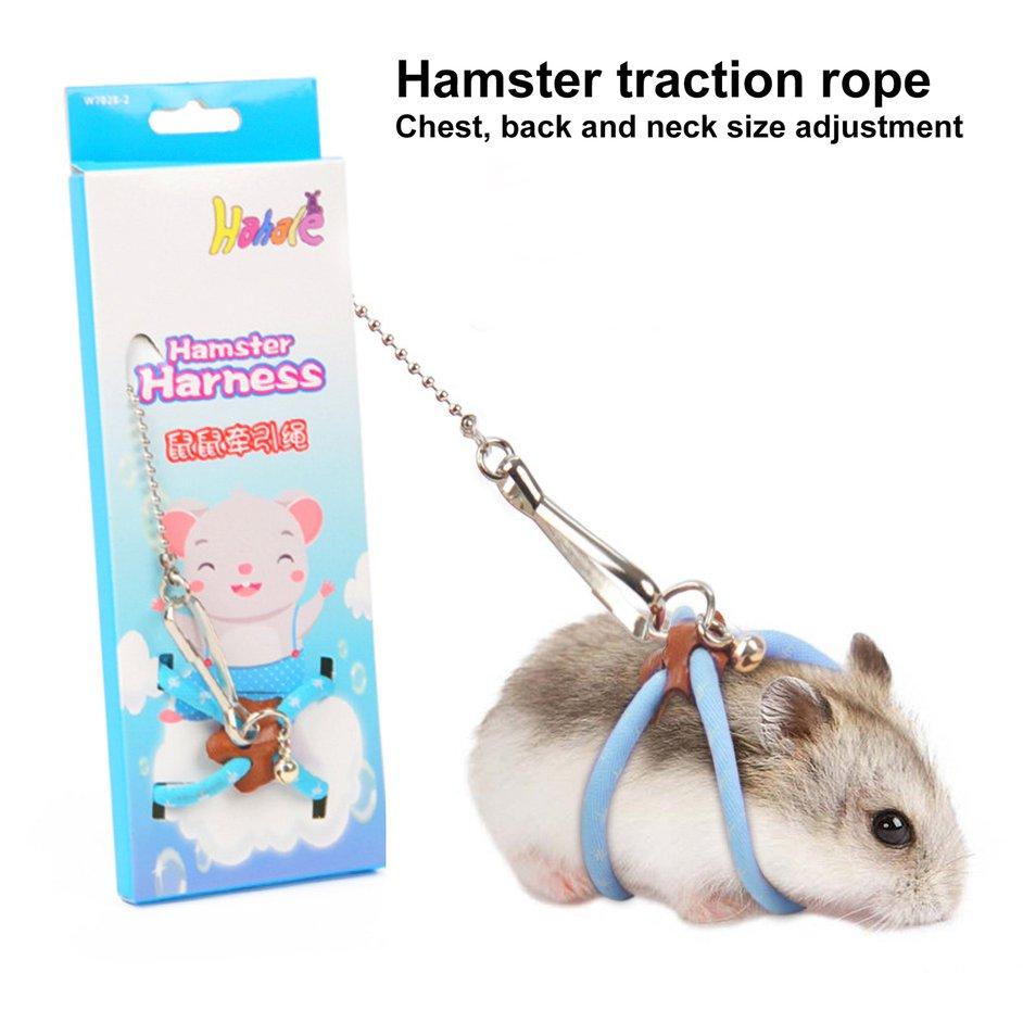 dwarf hamster leash