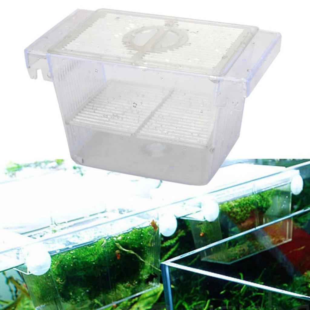 Aquarium Fish Tank Breeder Box Transparent Great Water Flow Box for Baby Fish Clownfish Guppy