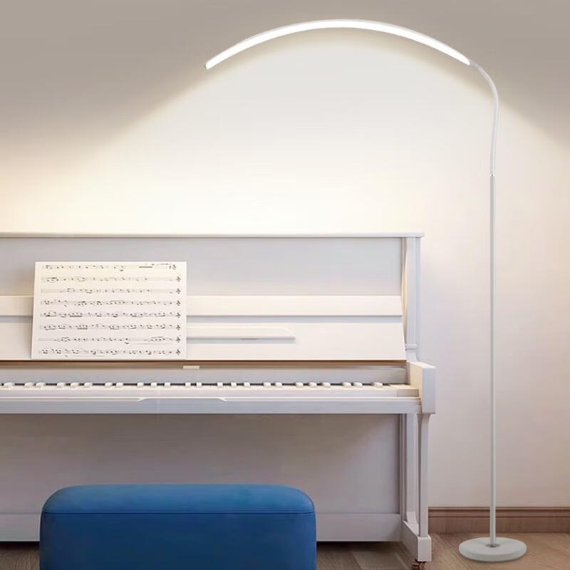 Rechargeable Piano & Study Floor Lamp