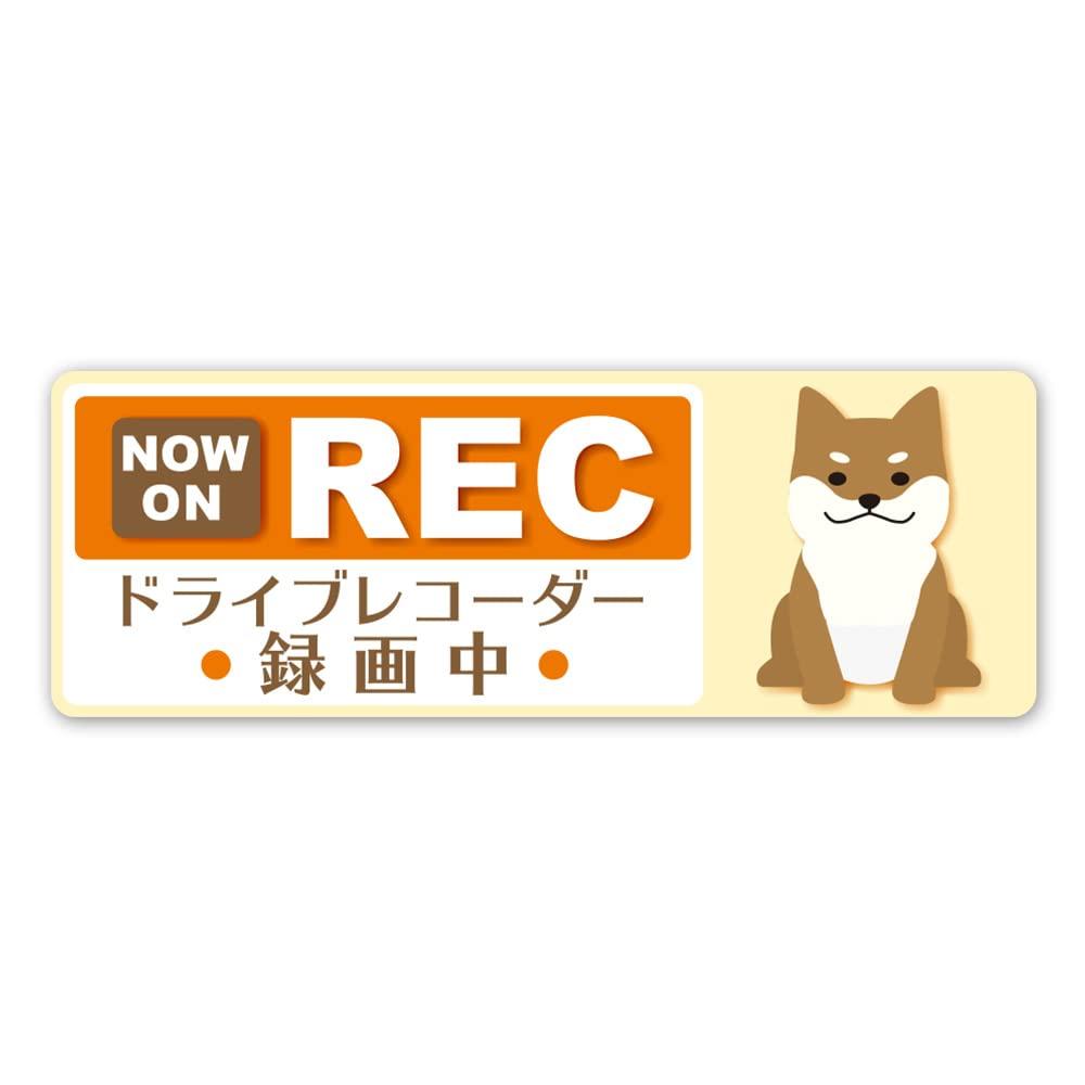 Sitting Shiba Inu Yellow [NOW ON REC] Drive Recorder Recording one size бежевый