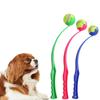Köpek – Köpek oyuncakları