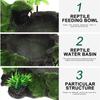 Reptile Feeding Dish Resin Wear-Resistant Natural Water Dish Safety Use Terrarium Decorative Reptile Snack Accessory