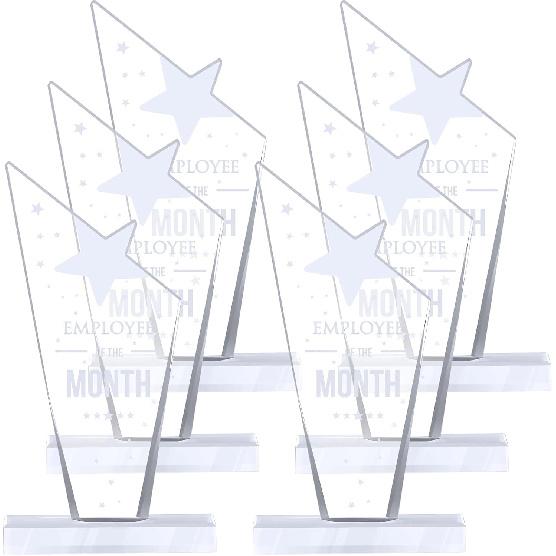 6 Pcs Employee of The Month Plaque Employee Month Appreciation Awards Coworker Staff Appreciation Gift Acrylic Trophy Reward Sign Keepsake