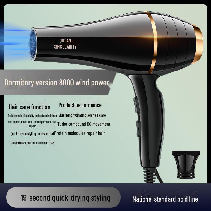 High-Power Hair Salon Dryer for Homes