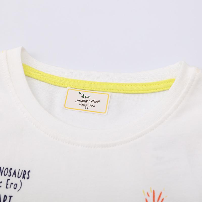 2025 Summer Kids' Dinosaur T-Shirt, Round Neck, Short Sleeve, Trendy Top