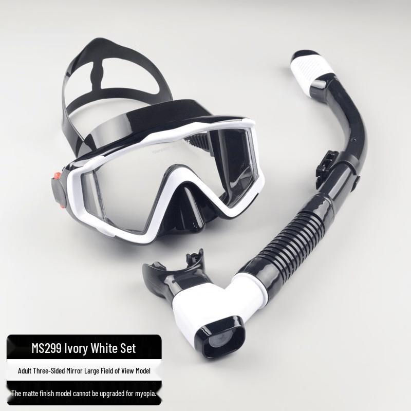 Jun Ding Ying MS299 Full Dry Snorkel & Mask Set