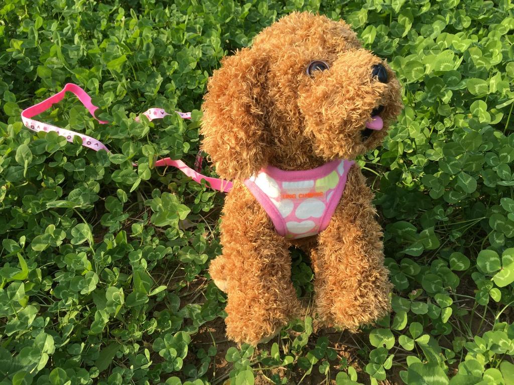 Dog Print Protective Harness Vest
