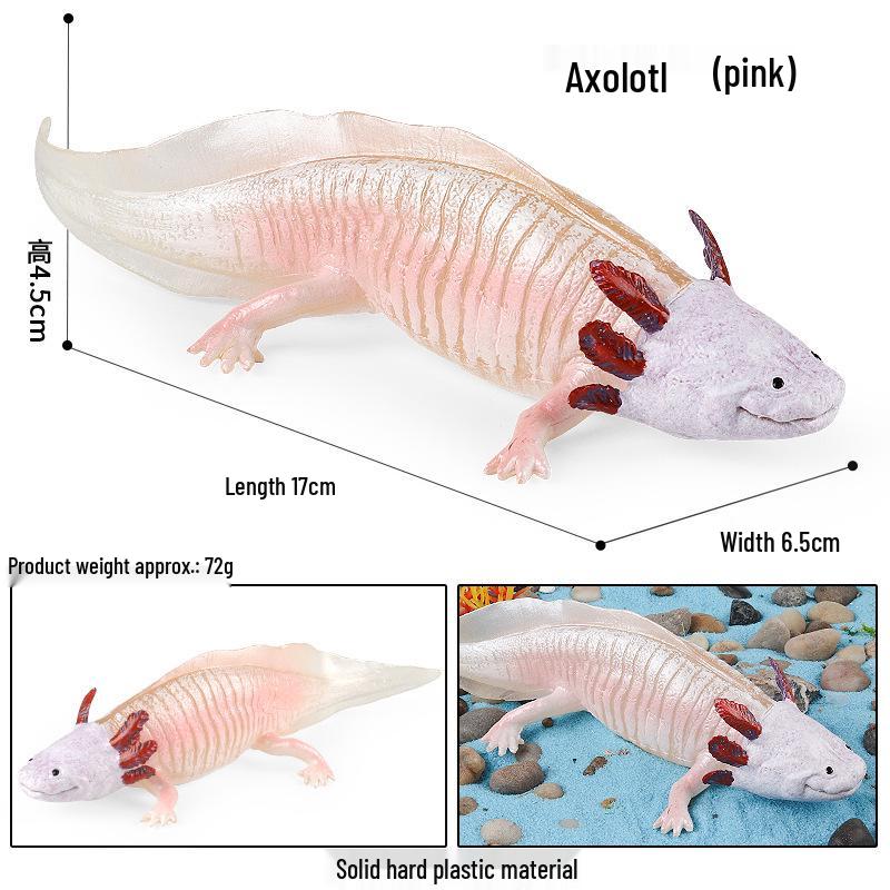 Children s Marine Life Animal Model Set: Indian Star Tortoise, Sea Turtle, Alligator Snapping Turtle, Elephant Tortoise.