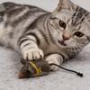 Simulation Plush Mouse Cat Toy With Catnip Bite Resistant