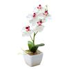 Luxurious Simulated Phalaenopsis Artificial Plant for Exclusive Boutiques