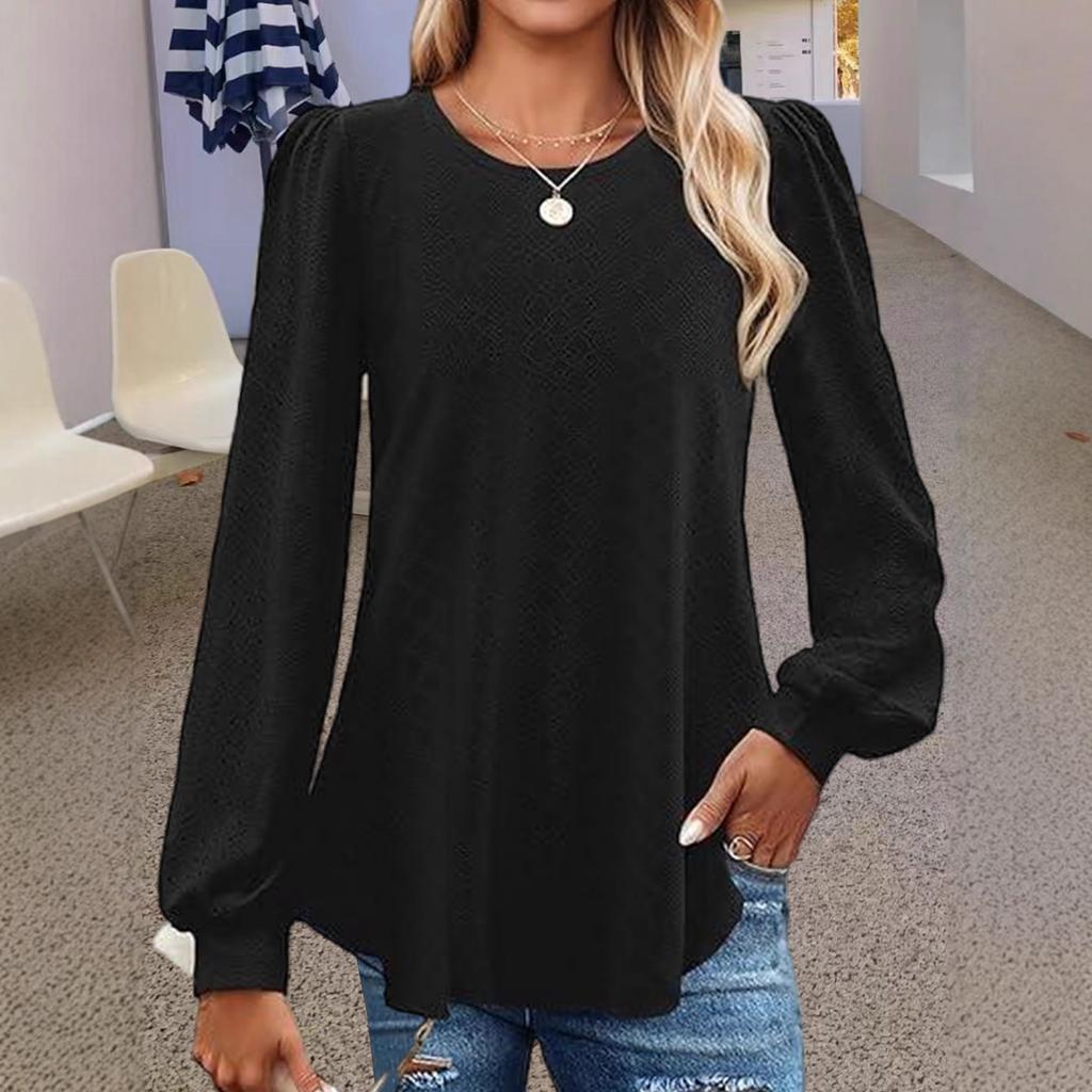 women's Hollow Out Textured Puff Long Sleeve Crew Neck T-Shirt Casual Loose Fit Blouse Top