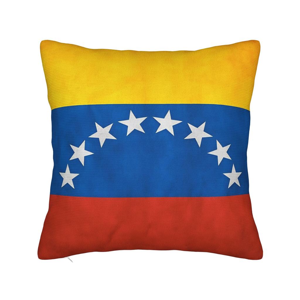 Argentina  Argentinian Flag  National Flag Of Argentina  Pillow Case Pillow Cover For Office Car Home Decor Novelty Pillowcases