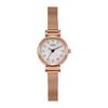 Versatile Stainless Steel Mesh Belt Light Luxury Diamond-Encrusted Student Exquisite Waterproof Quartz Watch