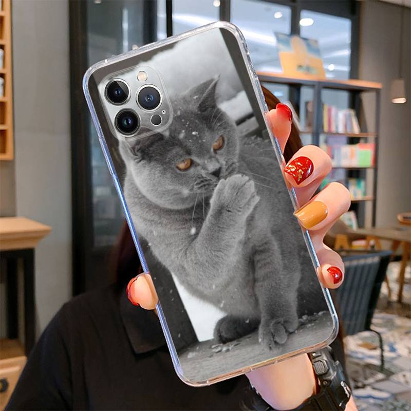 Britská krátkosrstá kočka Pouzdro na telefon pro iPhone 14 13 12 11 Pro Max XS X XR SE 2020 6 7 8 Plus Mini průhledné pouzdro