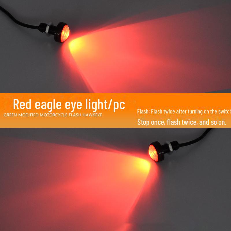 12V LED Eagle Eye Motorcycle License Plate Light - Waterproof, High Brightness, Daytime Running, Brake Light