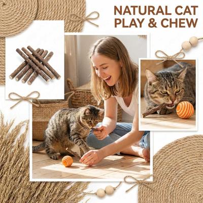 Natural Silvervine Sticks, Silvervine Sticks For , Natural Silvervines Stick Chew Toy, Promote Health,Entertain