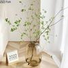 Transparent Glass Vase, Office Decor, Large Capacity Hydroponic Flower Pot, Vase, Bedroom Aesthetic Decor, Home Decor