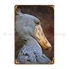 Shoebill Stork Metal Plaque Poster Kitchen Vintage Rusty Club Create Tin Sign Poster