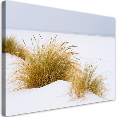 Canvas Print Dunes On Golden Sand