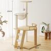 Multi-Level Cat Tree with Space Capsule