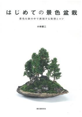 Your First Landscape Bonsai: Ideas and Tips for Expressing Landscape In a Pot