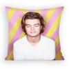 Joe Keery Djo Pillow Case Sofa Living Room Bedroom Headboard Backrest Cushion Square Cushion Nap Time