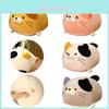 Soft And Comfortable 13.7-23.6in Cat Plush Doll