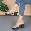 Fashion Women High Heel Sandals Summer Rome Fashion Hollow Platform Sandals Comfortable Outdoor Casual Dress Shoes Sandalias De Mujer