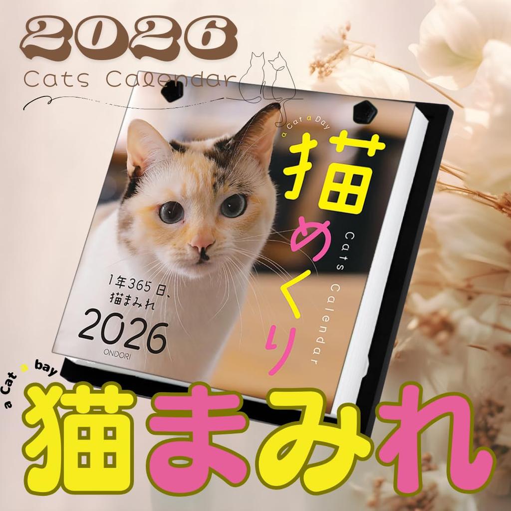Cat Calendar 2026 Daily Calendar CK-C26-01