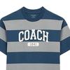 T Shirts Men's Blue Crew Neck Moderate Straight Fit CO784-BLM