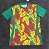 Mens National Team Soccer Jerseys 2526 Africa Cameroon Morocco Cote DIvoire Egypt Home Away Training Cycling
