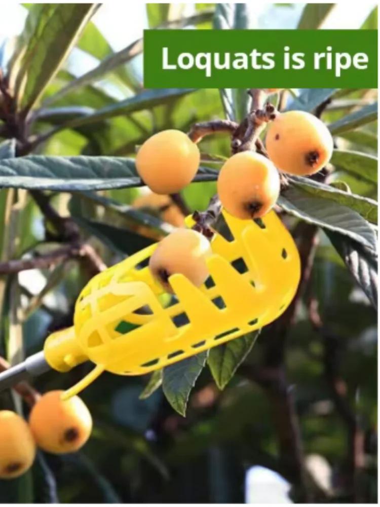 Dispositivo di Raccolta per Orto e Giardino Utensili da Giardino Cesto Profondo Testa Raccoglifrutta Comodo Raccoglitore di Frutta Raccolta di Mele Pesche