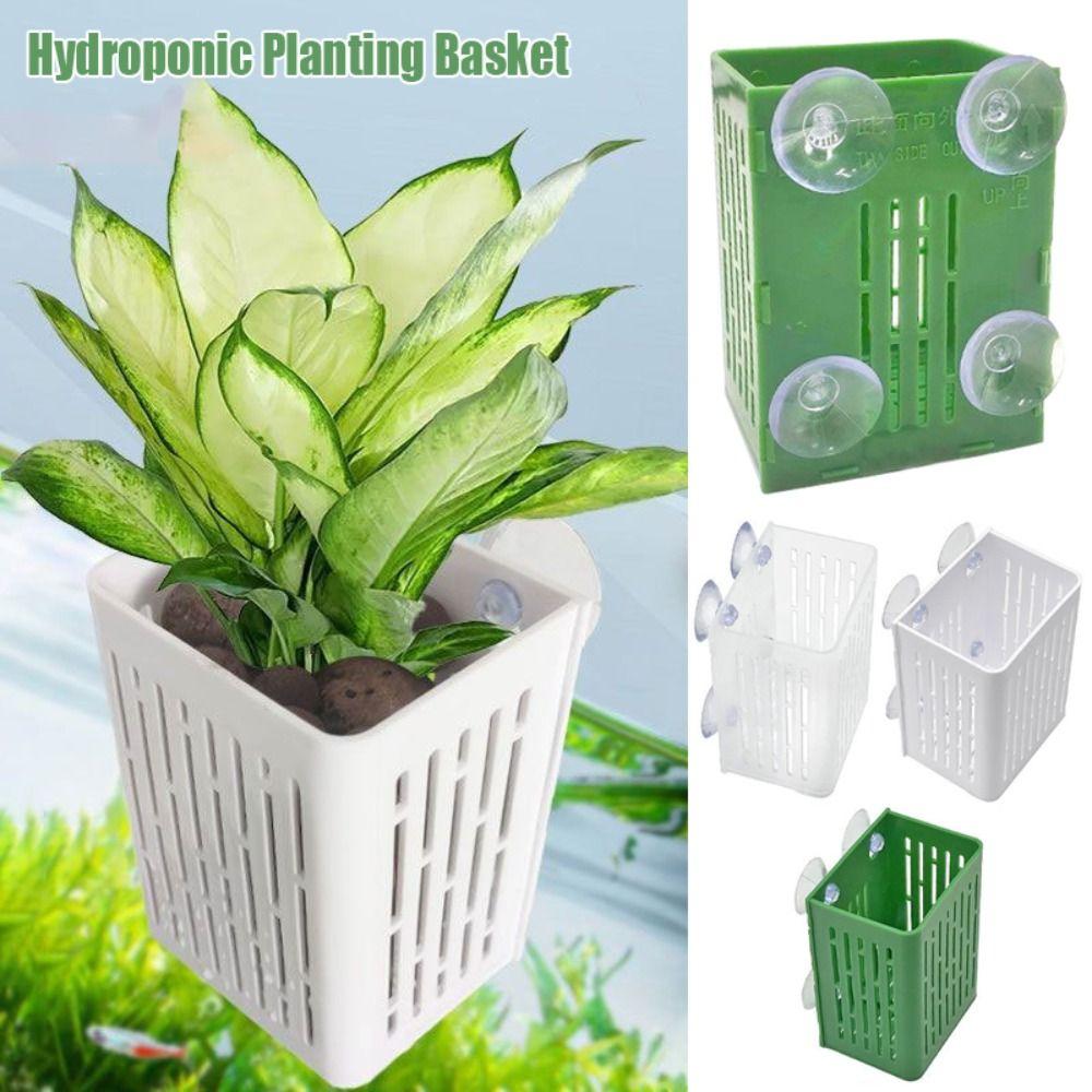 Aquascape Decoration Fish Tank Hydroponic Planting Basket Aquatic Pot Planter  Planted Tank