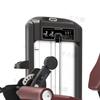 TF25 Leg Extension and Curl Combo Machine