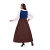 Halloween Costume Medieval Renaissance Court Vintage Victorian Dress Costume
