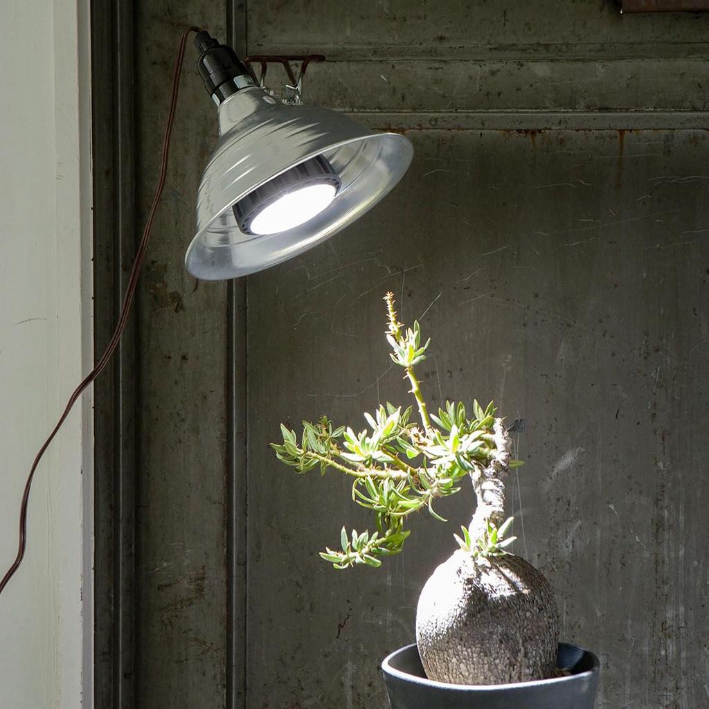 Dulton Aluminum Clip Lamp M Aluminum Clip Lighting with a Clear Personality Light Outlet Photography Work ALUMI Body Length 37cm Diameter Cord Length