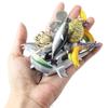 Marine Animal Models: Tuna, Triggerfish, Dolphin, Moray Eel, Squid, Whale Shark, Hammerhead Shark, Sea Turtle, Swordfish