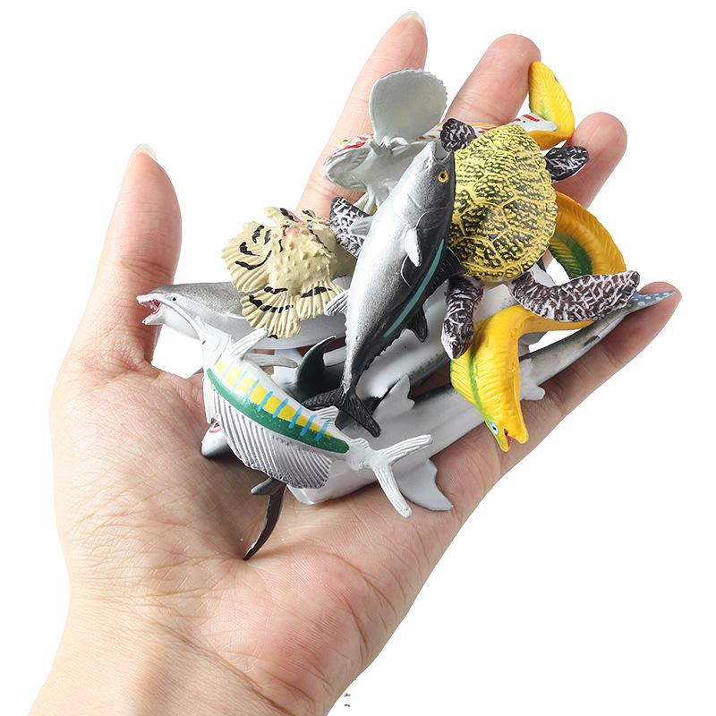 Marine Animal Models: Tuna, Triggerfish, Dolphin, Moray Eel, Squid, Whale Shark, Hammerhead Shark, Sea Turtle, Swordfish
