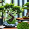 Artificial Moss for Crafts - 5.3oz Fake Moss for Potted Plants Indoor, Fairy Garden Decor, Model Making, Walls, Glass Containers | Realistic Faux