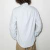 Polo Ralph Lauren Pony Embroidered Pinstriped Shirt 710549084-009