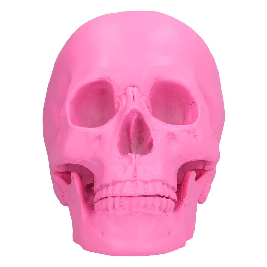 Pryskyřičná Halloweenská Dekorace Lebky Festivalové Domácí Rekvizity Falešná Celá Lebka Ozdoby Růžová