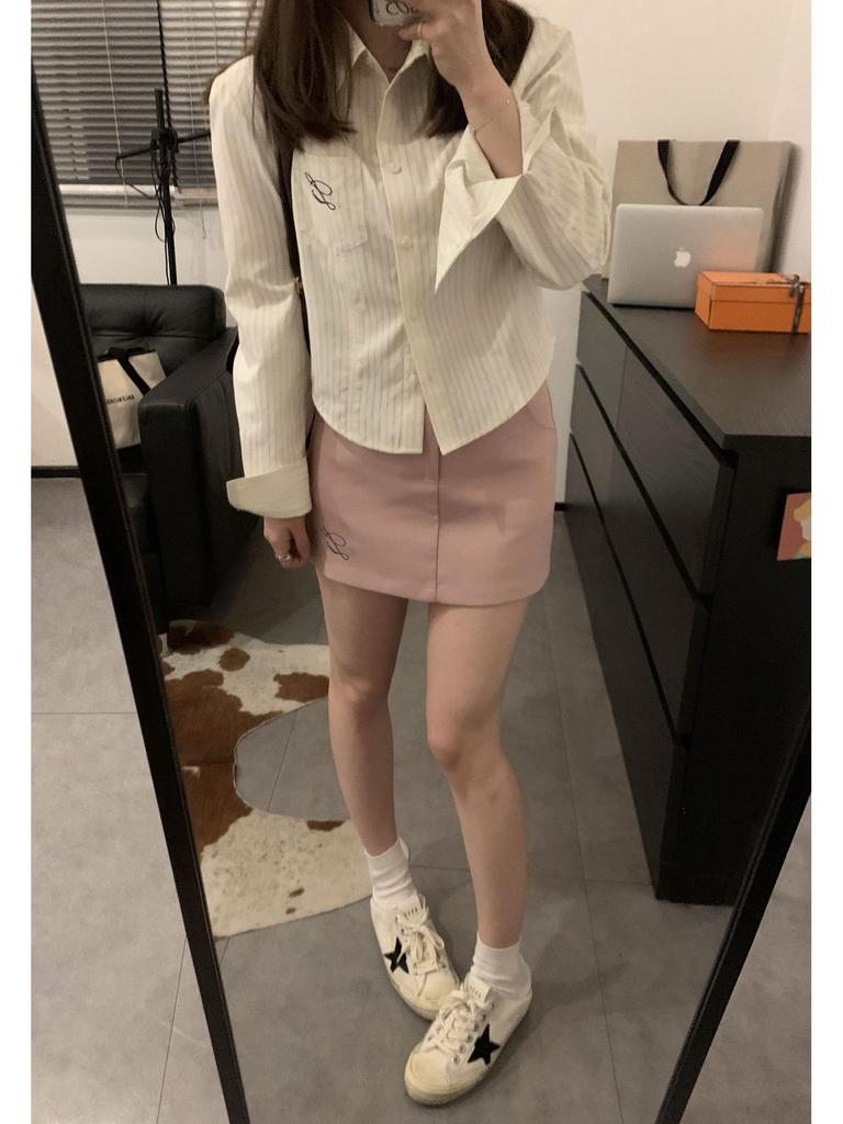 Korean Embroidered Striped Blue Shirt for Women - Spring/Autumn 2026 New Design