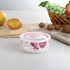 ZISIZ Ceramiczne Miski do Przechowywania Żywności z Pokrywkami - Wzór Flaming (Zestaw 4)