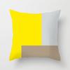 Luxury Home Decor Cushion Cover Office Sofa Cushion Cover Simple Fireworks Geometric Pattern Pillow Cover