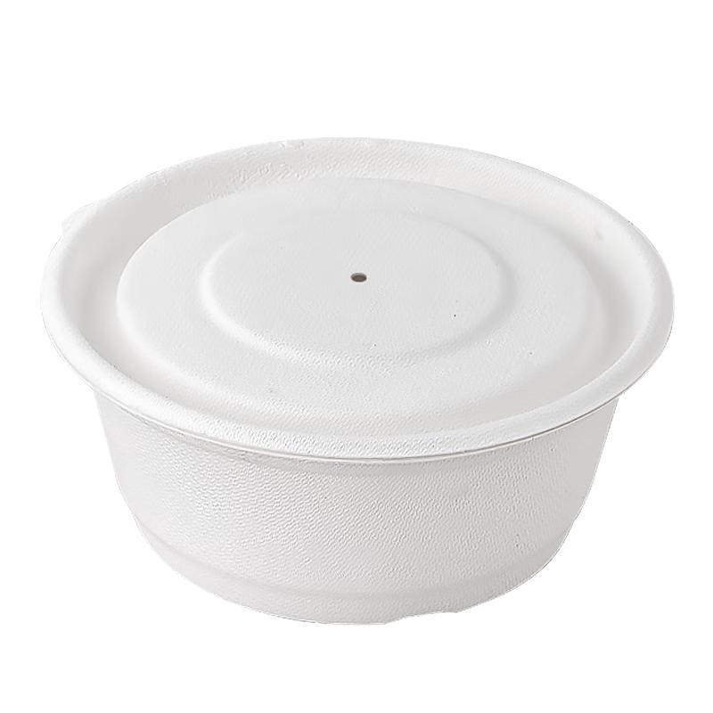 Eco-Friendly Disposable Bagasse Meal Bowls