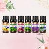6pcs Essential Oil Set 10ml pure natural aromatherapy essential oil Lemon Mint Rose Tea Tree Lavender Jasmine diffusing Candle.