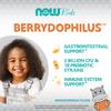Kids, Berry Dophilus™ Chewables, 120 Chewables