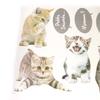 Les Trésors De Lily [L2472] - 'A Love of Animals' Cat Sticker Sheet (50x70 Cm)